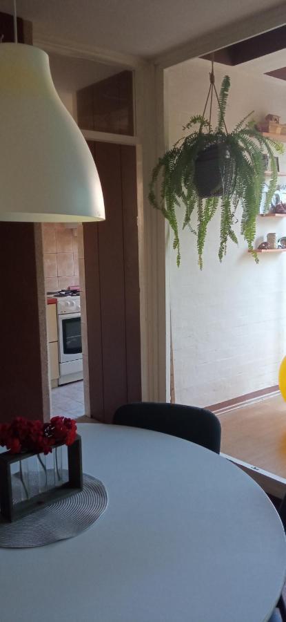 Branysol Apartman Novi Sad Exterior photo