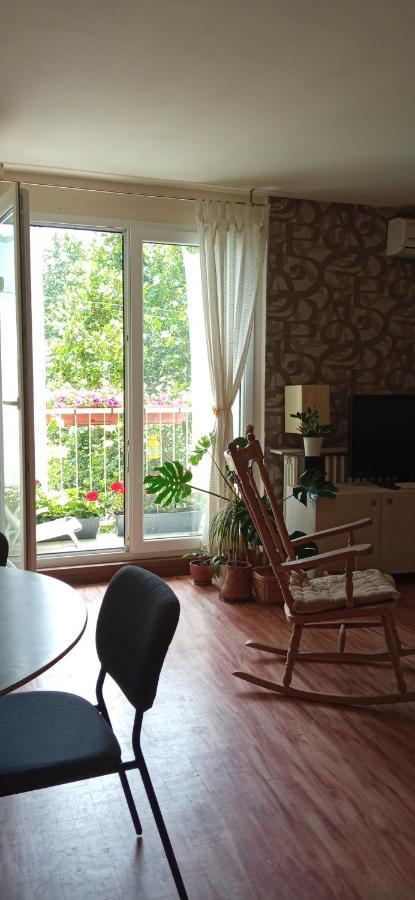 Branysol Apartman Novi Sad Exterior photo